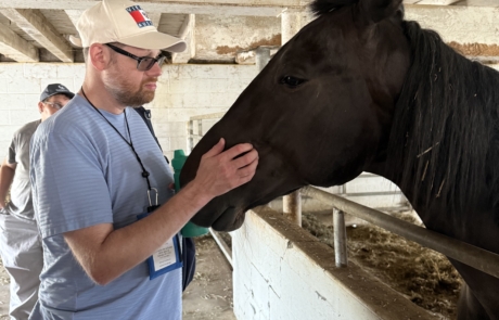 Aaron & Jessica's Buggy ride
