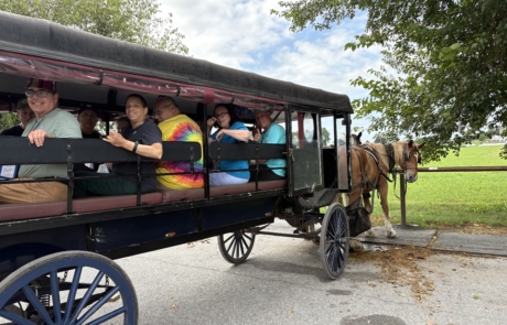 Aaron & Jessica's Buggy ride